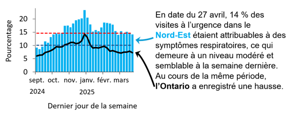 Graphique montrant le pourcentage de visites aux services des urgences dans le Nord-Est de l’Ontario en raison de problèmes respiratoires de septembre 2024 à aujourd’hui. Les niveaux passent de faibles (<10,1 %) en septembre à élevés (>14,6 %) en novembre, pour atteindre un sommet de 23 % à la fin décembre. Ils diminuent au début de 2025, mais demeurent élevés, à l’exception d’une baisse modérée à la mi-mars. L’Ontario suit une tendance semblable, mais ses taux sont inférieurs de 5 à 10 %, probablement en raison de différences dans l’utilisation des soins de santé et l’accès à ces soins. En date du 27 avril, 14 % des visites à l’urgence dans le Nord-Est étaient attribuables à des symptômes respiratoires, ce qui demeure à un niveau modéré, et semblable à la semaine dernière. Au cours de la même période, l’Ontario a enregistré une baisse.
